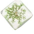 thumbnail image 4 of 1 Pieza Colgantes De Cristal De Flores Secas Colgante De Cristal Diy Joyería Verde claro, 4 of 9