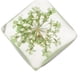 thumbnail image 4 of Transparente Colgantes De Flores De Cristal De Secados Joyería DIY Que Hace Las Fuentes Verde claro Macarena Colgantes de cristal de flores secas, 4 of 8