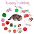 thumbnail image 4 of 20PCS Cat Toy Set Interactive Assorted Cat Training Toys Mouse Toy for Pet Cats, 4 of 10