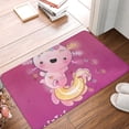 thumbnail image 2 of Cauagu Cute Pink Axolotl A Print Front Door Mat for Indoor Entrance 16x24 Inche,Absorbent Doormat Washable Carpet for Bathroom/Garage/Kitchen/Entry/Back, 2 of 7
