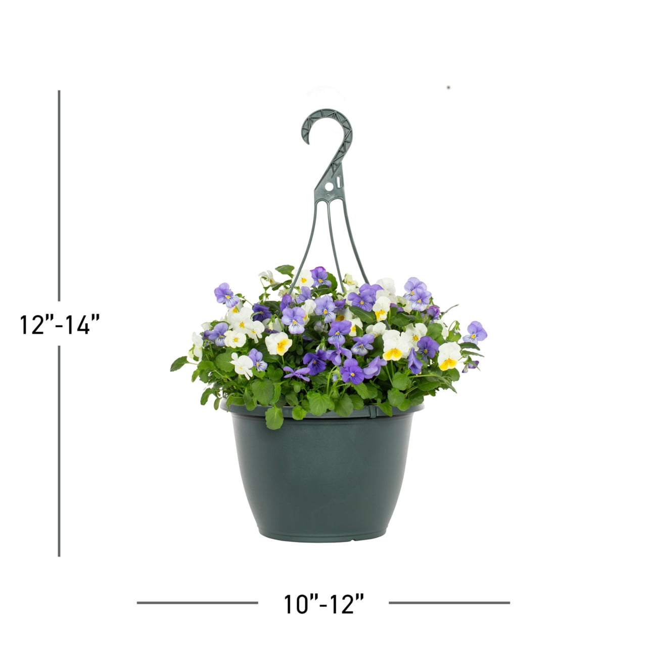 plant supports for lavender Round Grow Through Frame - Metal Plant Support - Rustic
