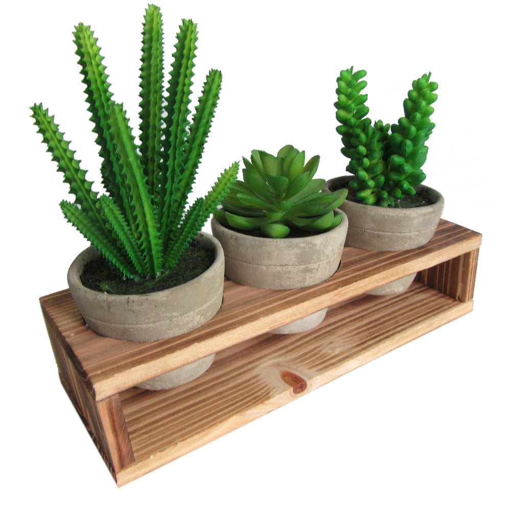Artificial Succulent 3 Pieces Assorted Potted Fake Green Plant in Cement Pot