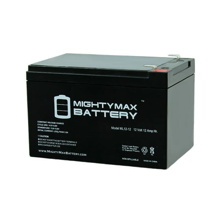 12V 12AH F2 Battery Replacement for Wilson Tennis Ball