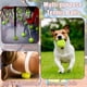 thumbnail image 3 of Pelotas de Tenis Magicorange Rosa Paquete de 12 para Entrenamiento Avanzado con Bolsa de Malla, 3 of 9