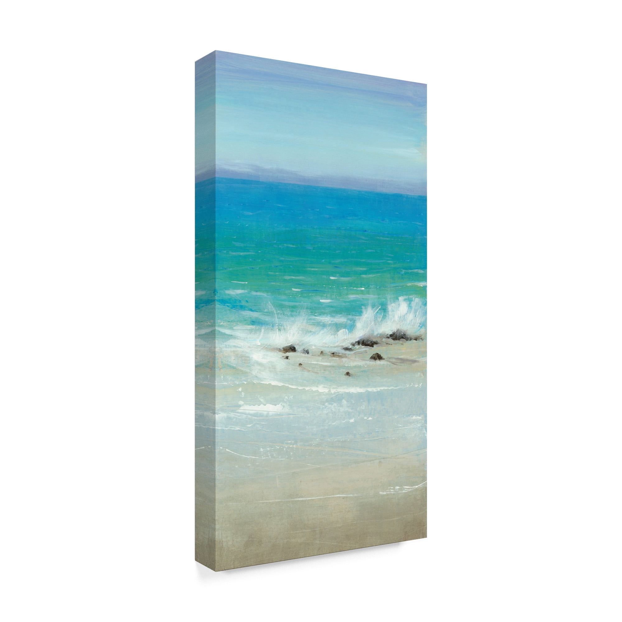 Trademark Fine Art 'Salt Spray I' Canvas Art by Tim OToole