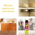 thumbnail image 5 of Raid Ant and Roach Insect Killer Aerosol Insecticide, Lemon Scent, 17.5oz, 5 of 14