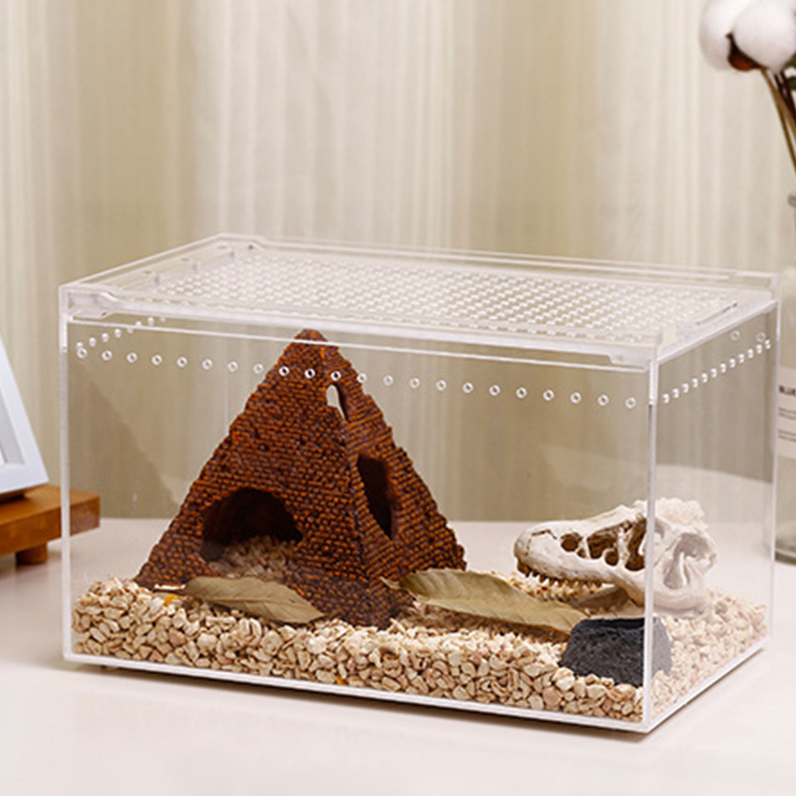Reptile Box Feeding Small Pet Horned Spider Lizards Snail Snake Clear Designed Box Silkworms Snake House