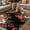 Green Red Black, variant on Cardinal Bird Outdoor Rug for Patio/Deck/Porch, Non-Slip Large Area Rug 5 x 7 Ft, Winter Poinsettia Pine Cones Berry Black Indoor Outdoor Rugs Washable Area Rugs, Reversible Camping Rug Carpet Runner