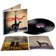 thumbnail image 1 of Salvation, 1 of 1