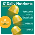 thumbnail image 5 of SmartyPants Prenatal Multivitamin Gummies, Folate, Wellness Supplement for Women, B12 & D3, 60 ct, 5 of 12