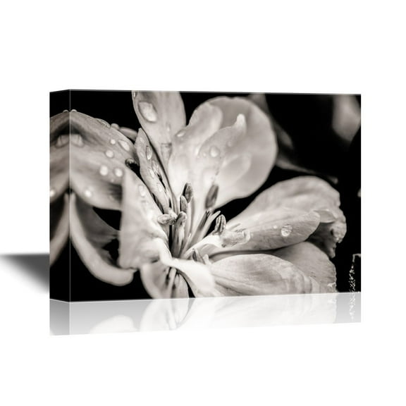 wall26 - Floral Canvas Wall Art - Flower with Raindrops - Gallery Wrap Modern Home Art | Ready to Hang - 16x24 inches