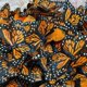 thumbnail image 4 of Moyic Hermoso juego de decoración de mariposas de imitación para pared de boda, paquete de 10 Kits de decoración para fiestas, 4 of 6