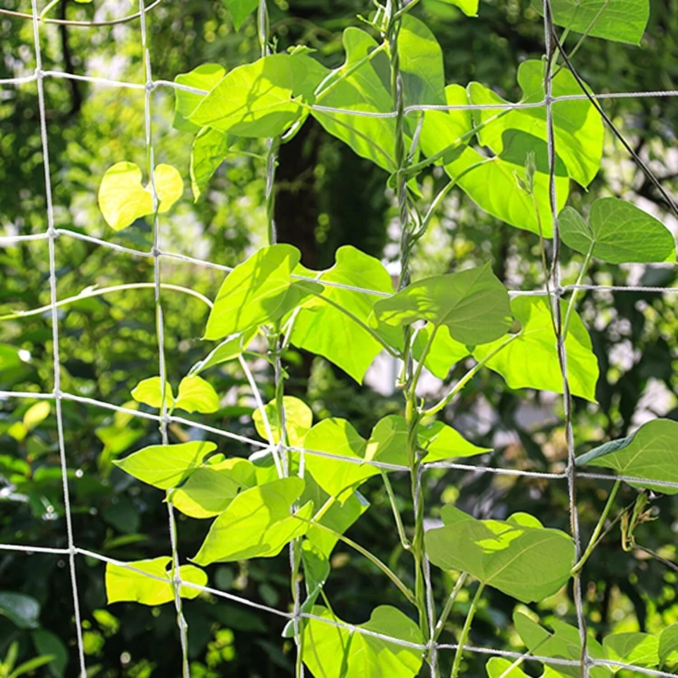 PURELY- Garden Netting, Plant Covers, Ultra Fine Garden Mesh Netting Garden Screens