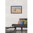 thumbnail image 2 of The Comedy Wildlife Photography Awards: Anup Deodhar - Rockstar Wall Poster, 14.725" x 22.375" Framed, 2 of 5