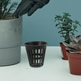 thumbnail image 4 of WRITWAA 5Ud Canastas De Plástico Para Cultivo Hidropónico Con Malla Ranurada Color Negro, 4 of 8