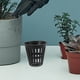 thumbnail image 2 of ColoMX Vasos de red hidropónica de plástico, cestas de cultivo de malla ranurada para hidroponía, acuaponía, jardinería interior y exterior, 5 uds., 2 of 7