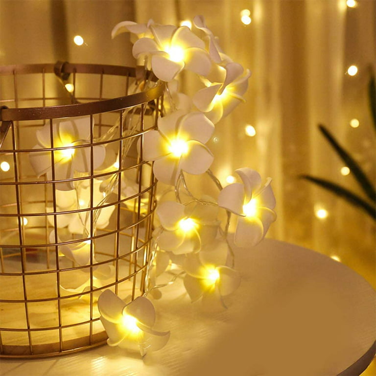 Small Mini Lantern Fairy Lights,9.8 ft Battery Operated Twinkle