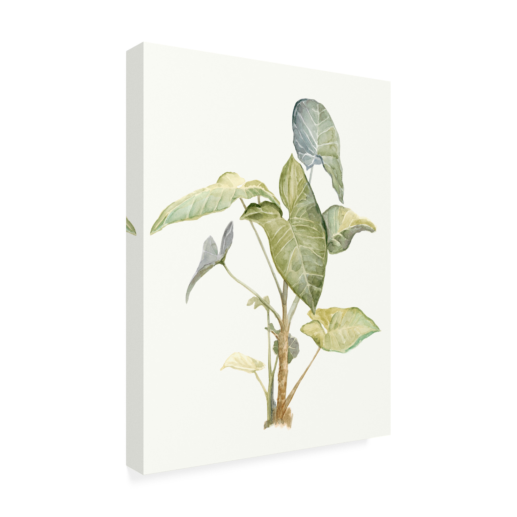 Trademark Fine Art 'Tropical Watercolor Leaves IV' Canvas Art by Megan Meagher