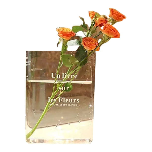 Florero de Acrílico Moderno único Florero Transparente para Estantería Hogar Dormitorio Oficina Decoración ANGGREK Otros