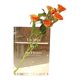 thumbnail image 1 of Florero de Acrílico Moderno único Florero Transparente para Estantería Hogar Dormitorio Oficina Decoración ANGGREK  Otros, 1 of 8