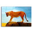 thumbnail image 1 of Epic Art 'Lioness On A Rock 1' by Ata Alishahi, Acrylic Glass Wall Art, 24"x16", 1 of 8