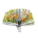 thumbnail image 5 of Paraguas transparente con forma de cúpula, resistente al viento, plegable, para exteriores, decoración de bodas, regalo para niños, mujeres y niñas. Automático, 5 of 10