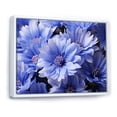 thumbnail image 2 of Designart "Cornflowers landscape II" Floral Floater Framed Canvas Wall Art, 2 of 7