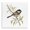 Sparrow on Branch_v1, variant on Stupell Industries Farmhouse Sparrow on Branch Black Framed Giclee Art, 12 x 12, by Cindy Jacobs