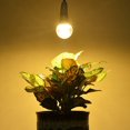 thumbnail image 4 of Ampoule de Croissance pour Plantes LED Éclairage Intérieur pour Serre Intérieur, 4 of 5