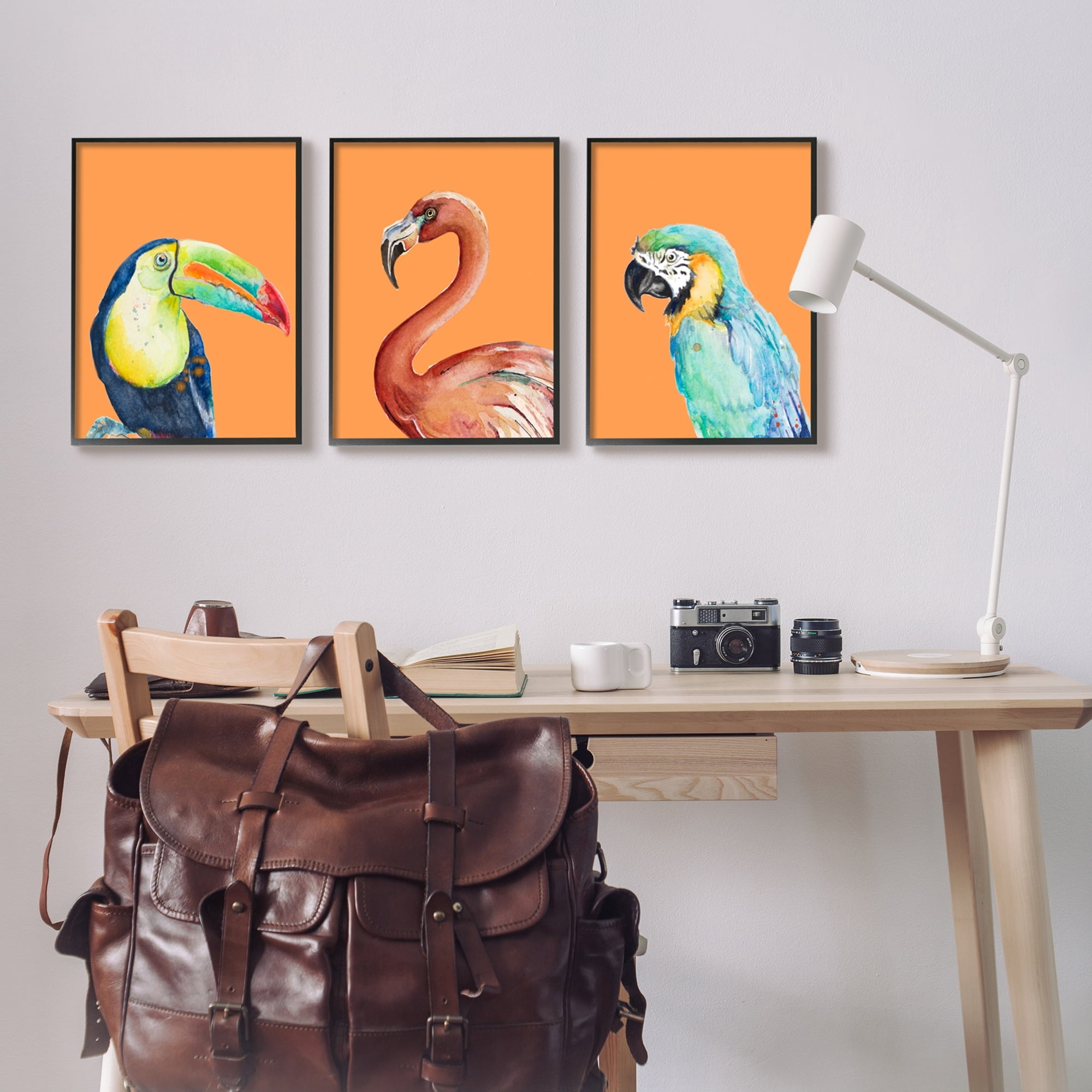 Stupell Industries Bold Tropical Birds Rainforest Animals Toucan Parrot Graphic Art Black Framed Art Print Wall Art, Set of 3, Design by Patricia Pinto