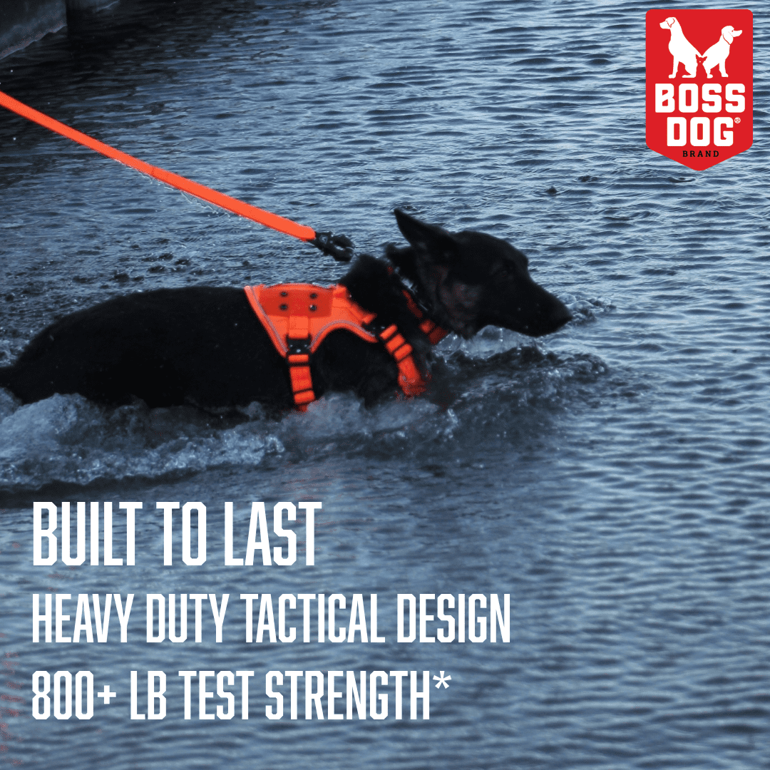 Boss Dog ProSeries Dog Harness No Pull Padded Reflective Durable  Hunter Orange, XL