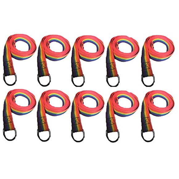 MPP Laisse pour Chien Style Glissant Arc-en-Ciel 6 Pi Abri de Secours pour Vétérinaire Entraînement 5 Ou 10 Paquets de Laisse (10 Laisse)