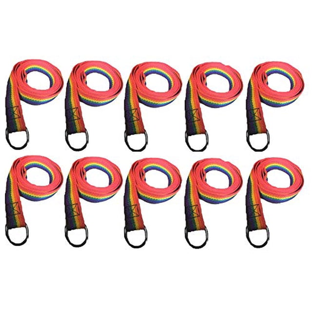 MPP Rainbow Slip Style Dog Leash 6 ft Vet Rescue Shelter Training 5 or 10 Lead Packs (10 Leads)
