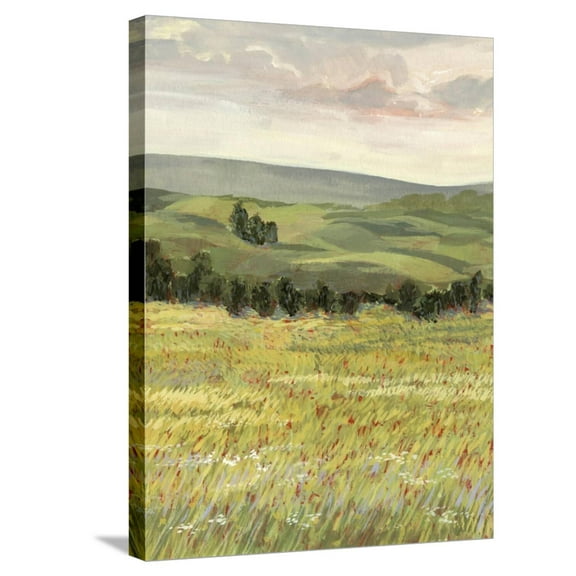 Art.com Morning Meadow I Stretched Canvas Print Wall Art by Victoria Borges, 18" x 24"