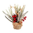 thumbnail image 1 of Mini árboles de Navidad adorno de escritorio tela de espuma de PVC accesorios para el hogar decoración del hogar adornos de fiesta tamaño Kits de decoración para fiestas Rojo/Tamaño Grande Bewildely HA070117-03, 1 of 6