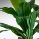 thumbnail image 2 of Planta Artificial Casa y Concepto CC153 Decorativa Con Maceta, 2 of 2