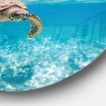 thumbnail image 3 of Designart - Large Hawksbill Sea Turtle' Disc Abstract Metal Circle Wall Decor, 3 of 4