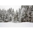 thumbnail image 2 of Aledanda 24x17 White Modern Wood Framed Museum Art Print Titled - Over the Bridge, 2 of 4