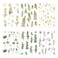 thumbnail image 2 of Bearachild Pegatinas de plantas de margaritas resistentes a la decoloración para álbum de recortes, pegatinas transparentes para mascotas, cartulina No.01, 2 of 6
