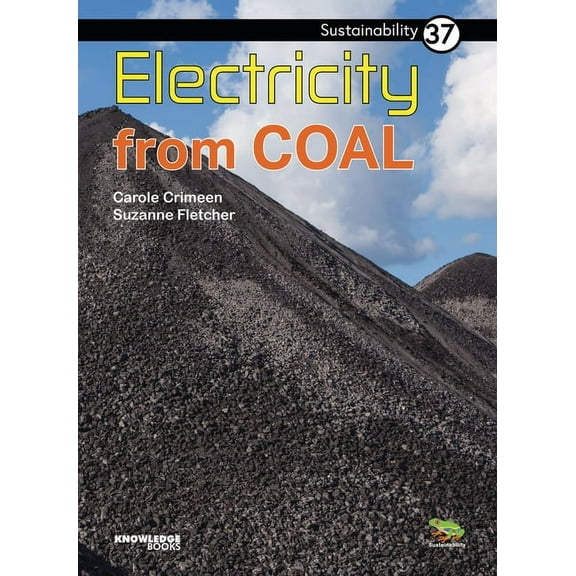Sustainability: Electricity from Coal: Book 37 (Paperback)