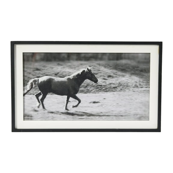 Creative Co-Op Galloping Horse Print with Wood Frame