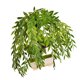 thumbnail image 4 of GOOHOCHY Adorno de plantas simuladas, bonsái de interior, decoración de plantas en maceta, 1 ud., 4 of 6