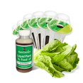 thumbnail image 1 of AeroGarden Mixed Romaine Lettuce Seed Pod Kit, 1 of 2