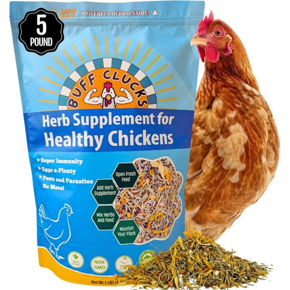 Buff Clucks Herb Supplement for Backyard Chickens - Natural Chicken Treats, Poultry Feed Botanical Mix, Plant-Based Coop Snacks for Daily Wellness, Feather Quality, Egg Production, USA (5 LB)