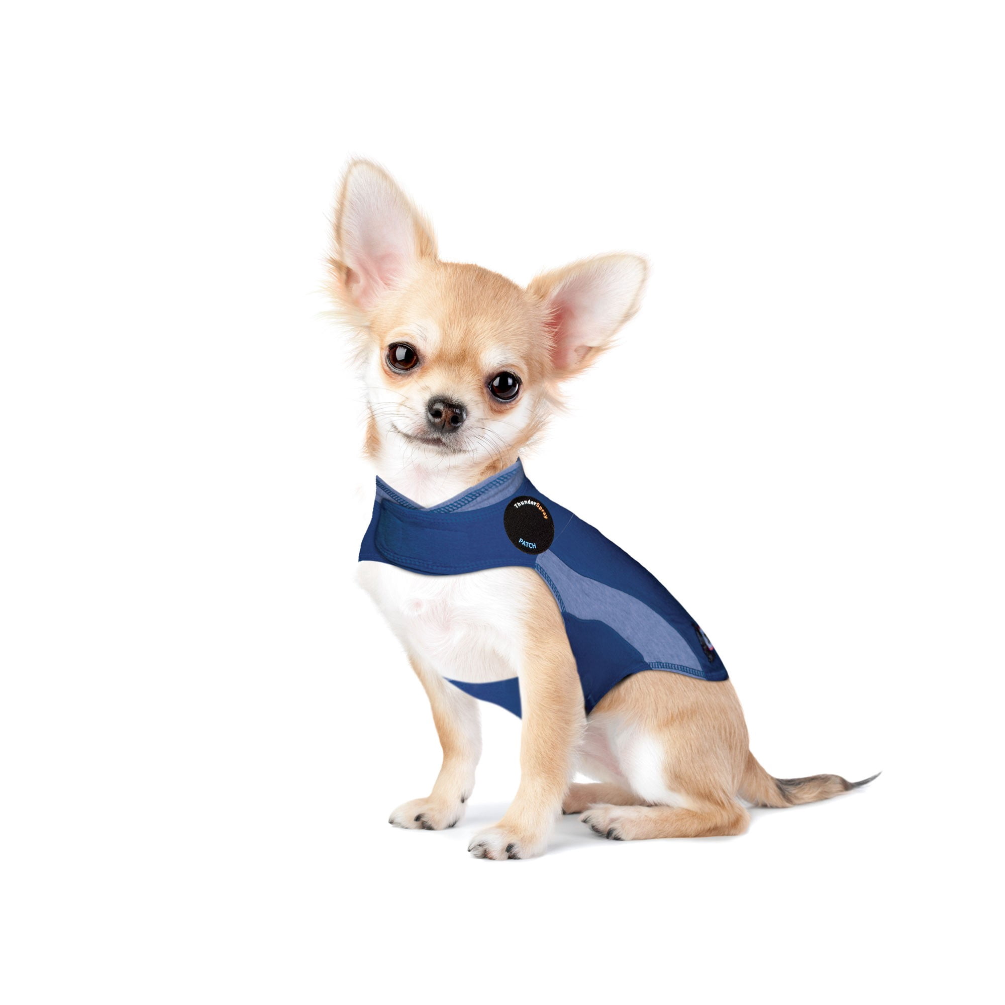 polo dog jacket