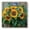 Color1073, variant on High Precision Body Weight Scale Smart Bathroom Scales with Large LCD Display(400lbs),Decorative for Bedroom-Beautiful Bouquet Of Sunflowers And Classic Flowers