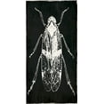 thumbnail image 2 of Villa, Mlli 14x24 Black Ornate Wood Framed with Double Matting Museum Art Print Titled - Bug Life One Black, 2 of 4