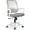 Gray, variant on CELTOSS Ergonomic Office Chair, Mid Back Mesh Computer Desk Chair with Lumbar Support, Swivel, Height Adjustable, with Armrests, Black