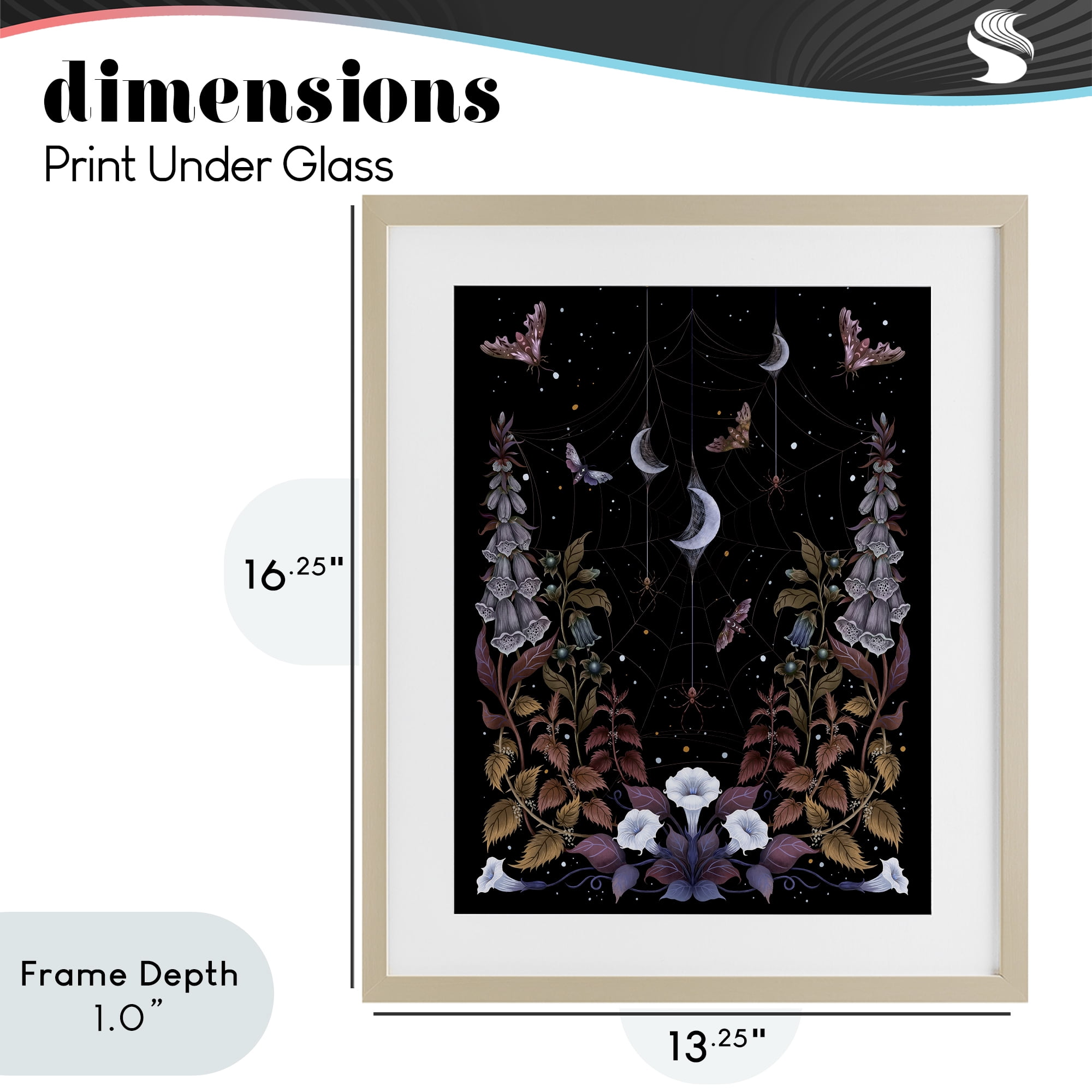 Stupell Industries Witch Garden with Spider Webs Birch Framed Print Under Glass, design by Episodic Drawings