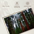 thumbnail image 6 of Elephant Stock Vibrant Redwood Wall Art - Horizontal Canvas Wall Art - Living Room Wall Decor - Floral And Botanical Canvas - Brown And Red Decor - 30" x 20", 6 of 8